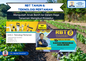 rbt-tahun-6