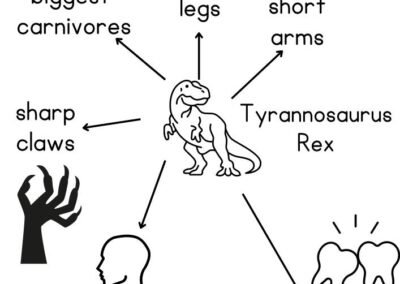 year-4-dinosours