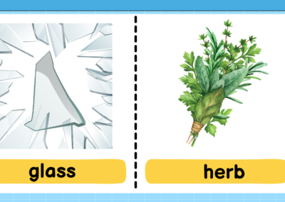 glass-herbs