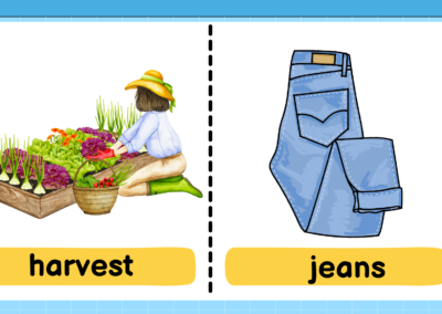 harvest-jeans