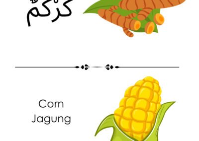Gambar kunyit dan jagung – latihan menamakan objek