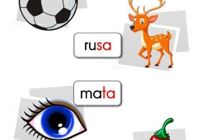 Aktiviti membaca perkataan KVKV bergambar seperti bola, rusa, mata dan cili.