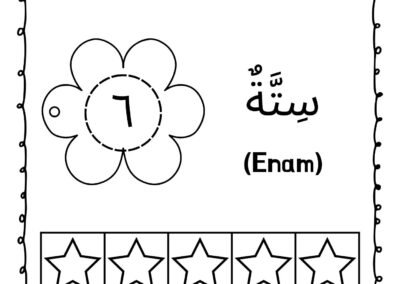 Nombor 6 dalam Bahasa Arab (ستة) pembelajaran awal