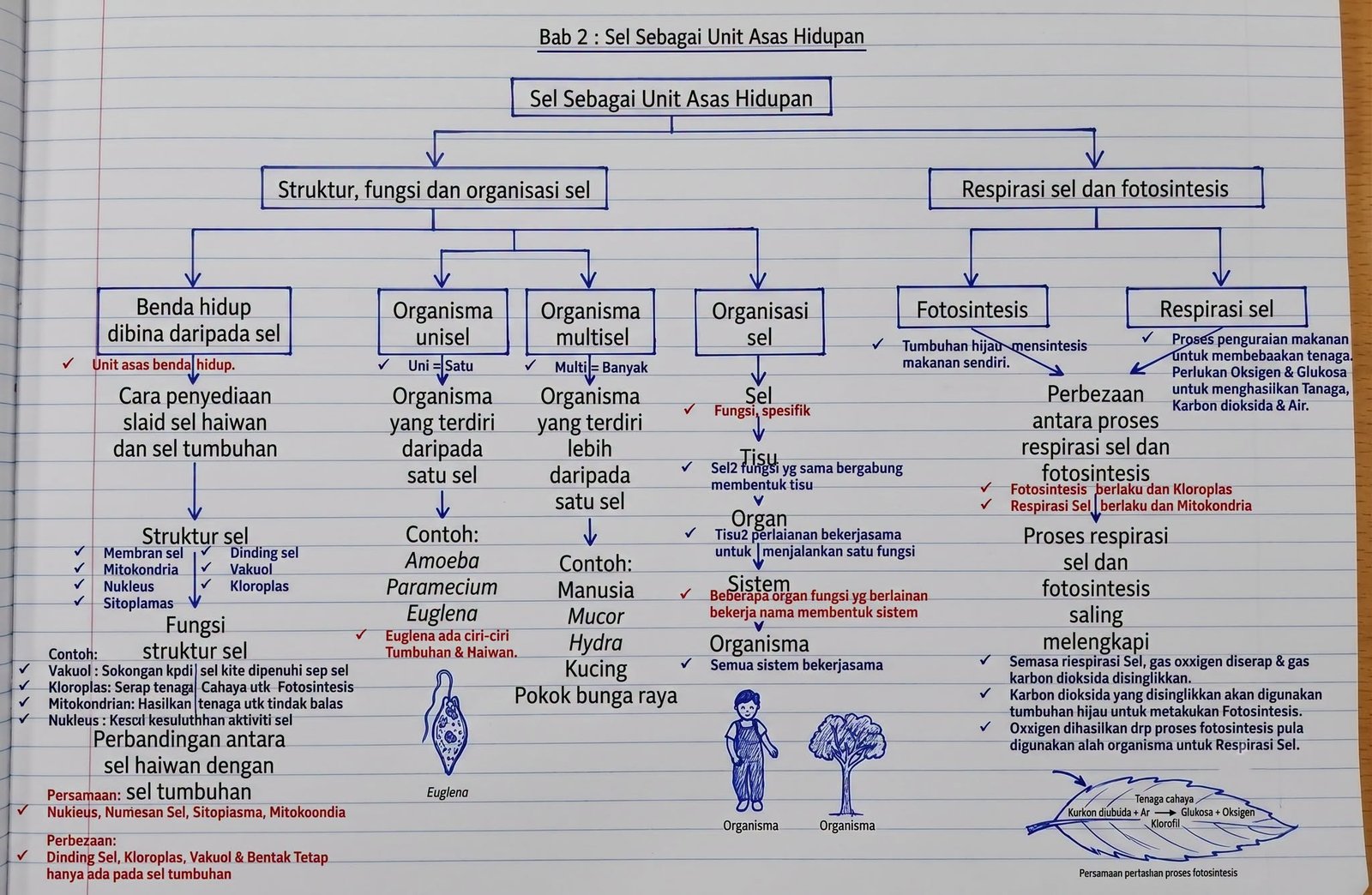 2 Nota Ringkas Sains Tingkatan 1 Bab 2 Sel Sebagai Unit Asas Hidupan
